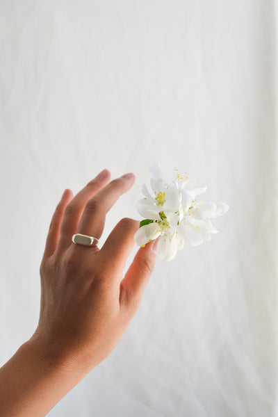 Sterling Silver Signet Ring - Size 6