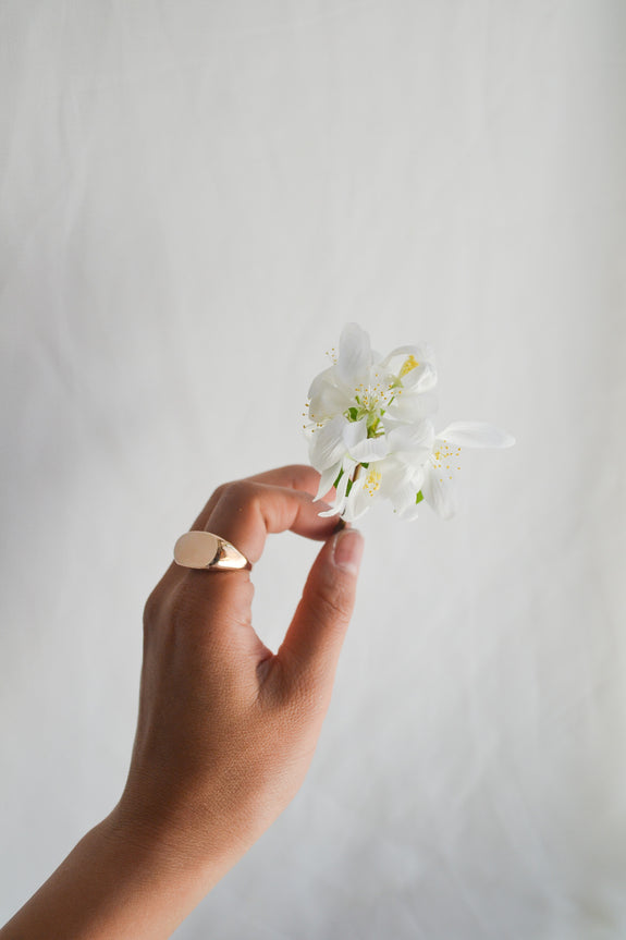 Bronze Signet Ring - Size 6.5